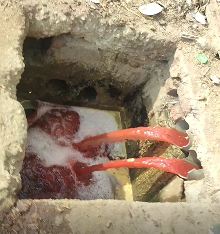 Sewage pipes connected directly to the Warraq slaughterhouse drain, showing untreated animal blood flowing into them